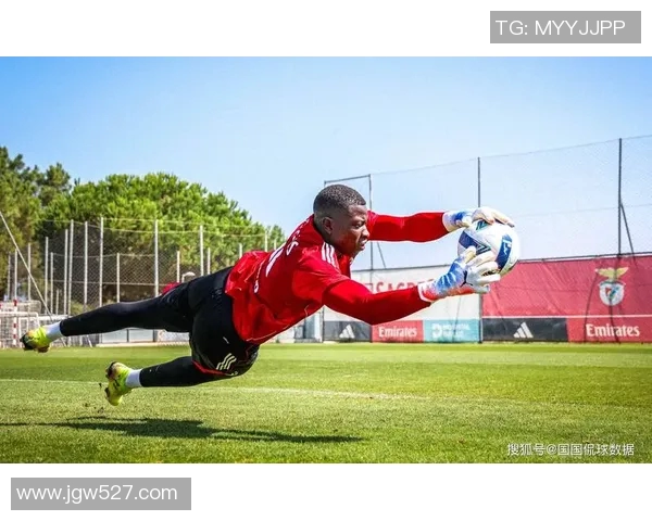 尼斯对甘冈比赛前瞻及比分预测分析,谁将赢得这场焦点之战 尼斯对甘冈比赛前瞻及比分预测分析,谁将赢得这场焦点之战