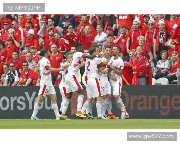 新泻天鹅与瑞士的精彩对决揭示足球战术与团队合作的魅力