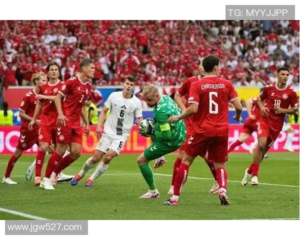 罗马尼亚与荷兰足球赛结果分析及精彩瞬间回顾